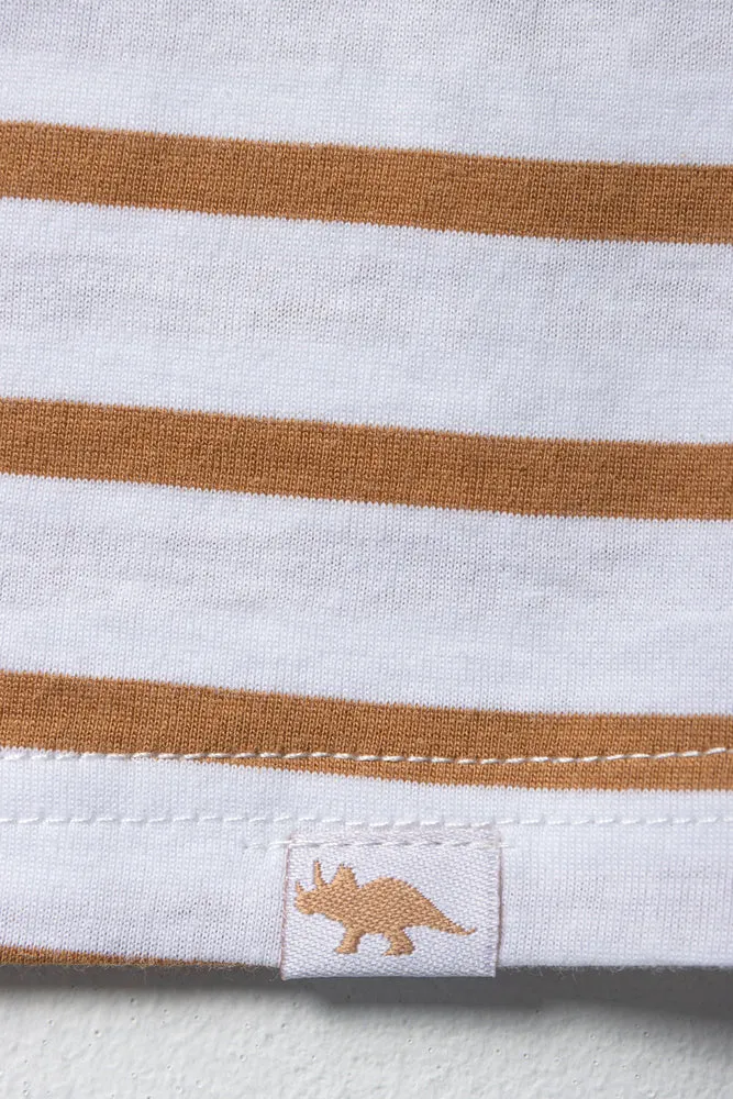 Boys Stripe Short Sleeve T-Shirt Natural & White