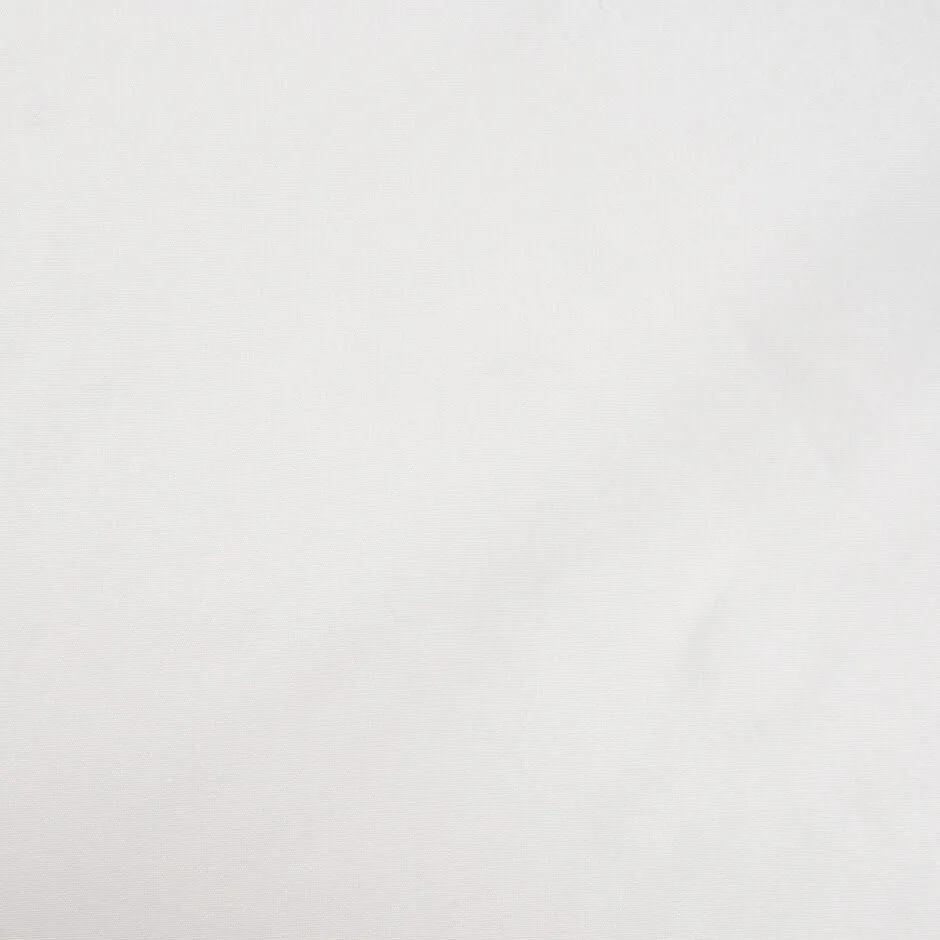 Fresh White Plain Silk Taffeta