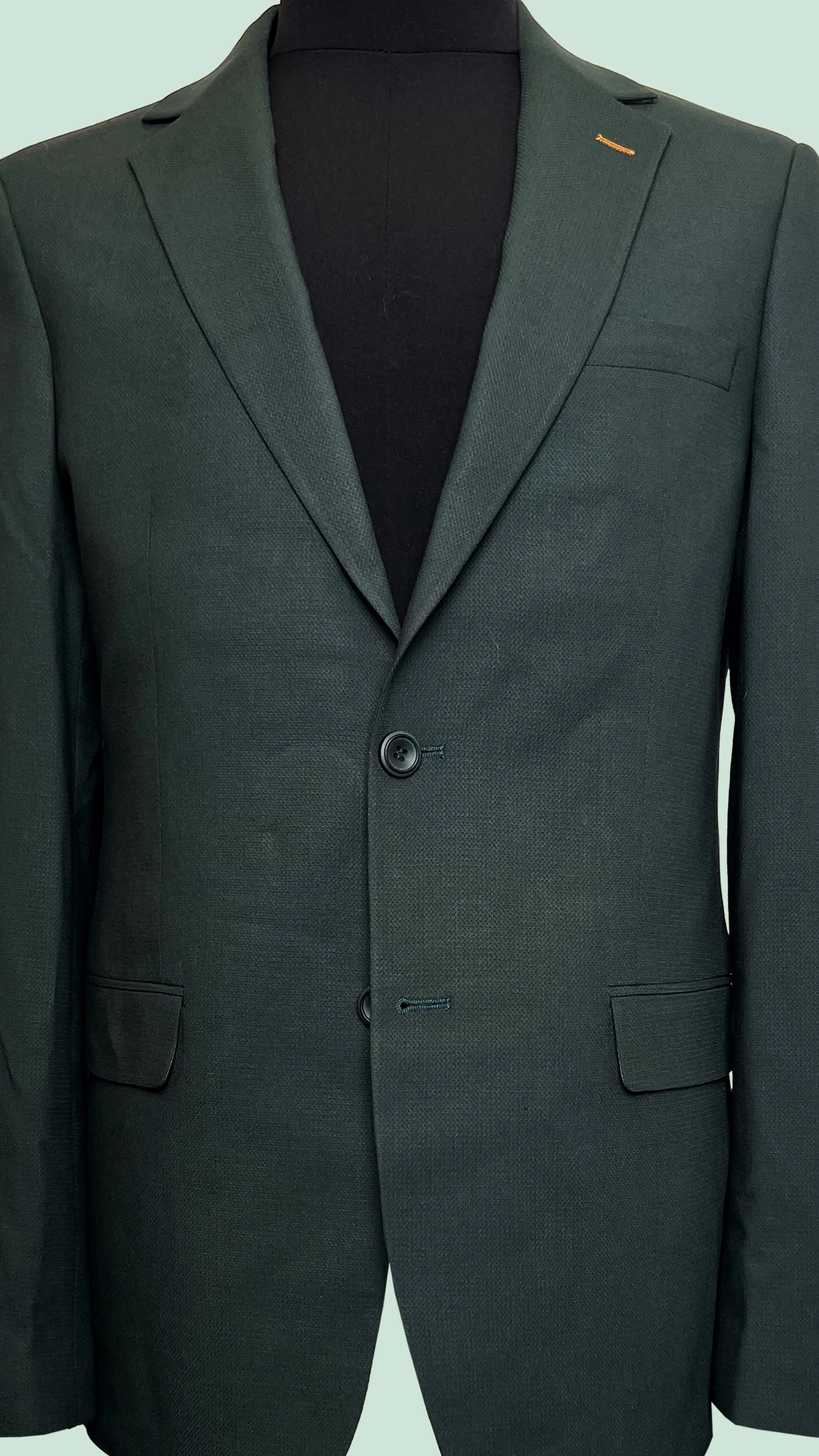 Vercini Evergreen Elegance Men's Blazer