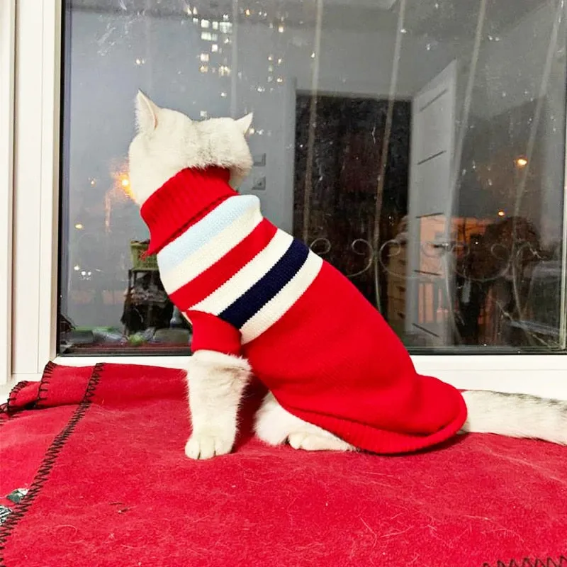 Winter Cat Clothes