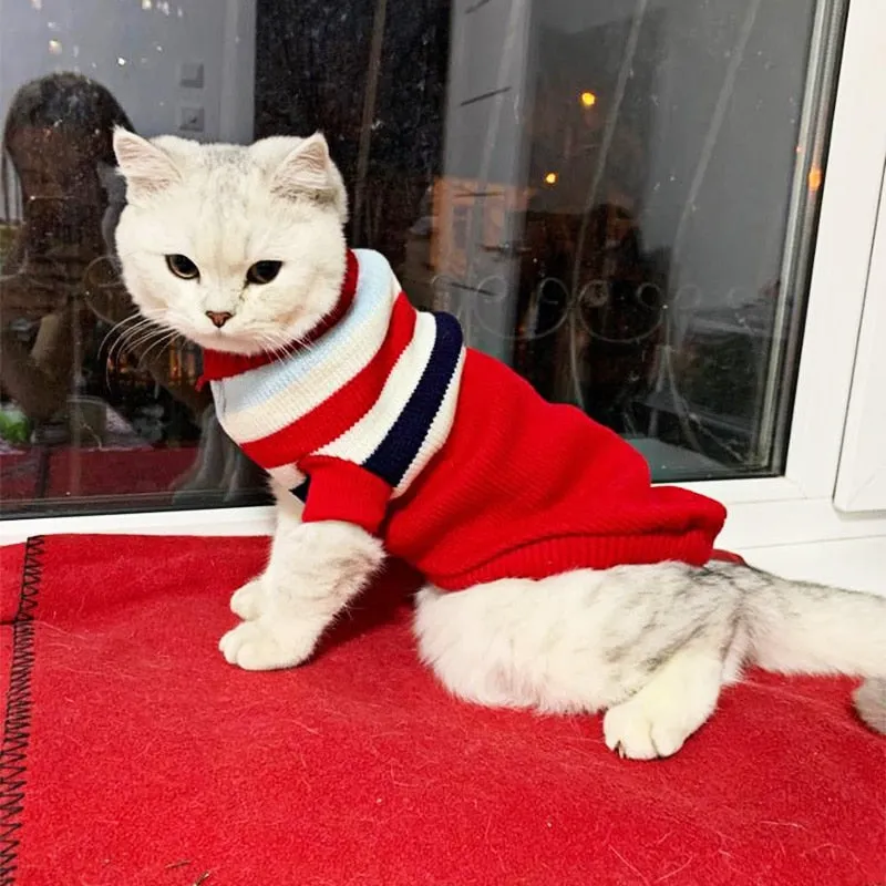 Winter Cat Clothes