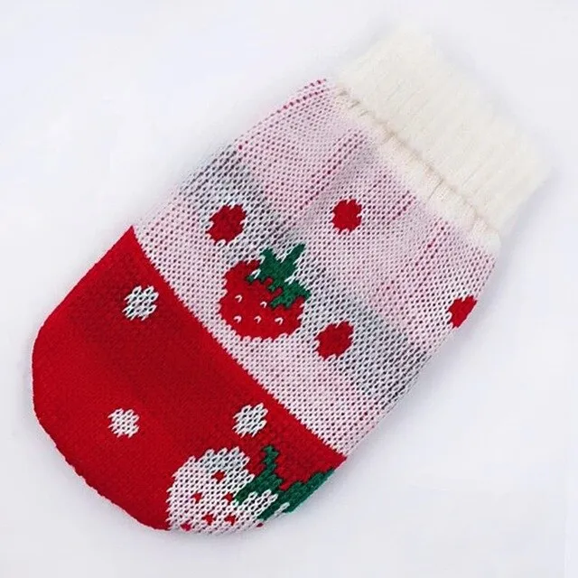 Winter Cat Clothes